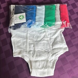 Hanna Andersson 7-Pack Organic Cotton Classic Briefs in Assorted Colors